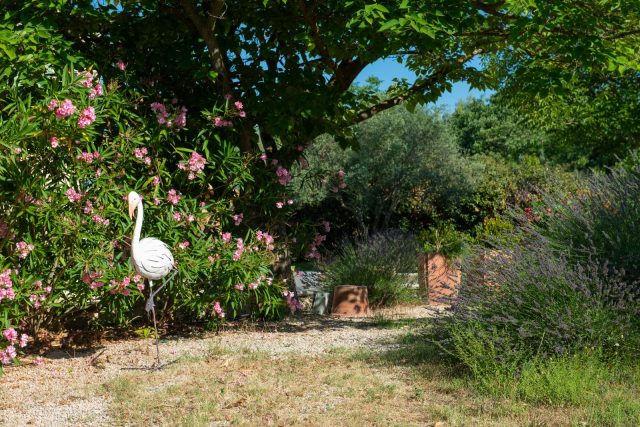 Jardin, piscine et extérieurs — photo 1
