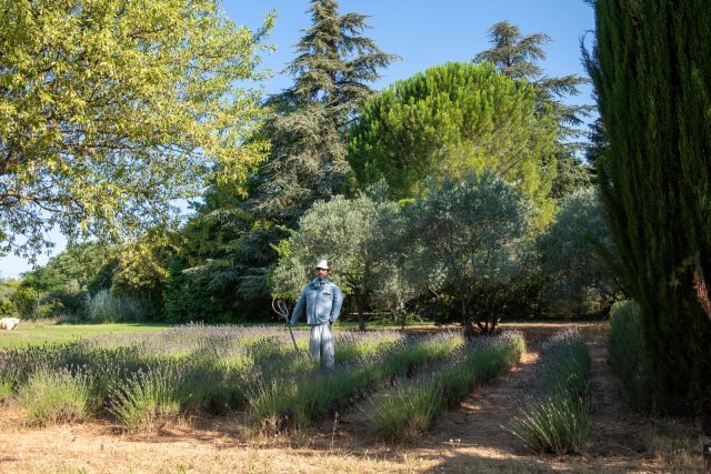 Jardin, piscine et extérieurs — photo 2