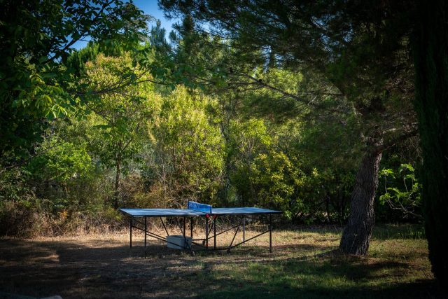 Jardin, piscine et extérieurs — photo 6
