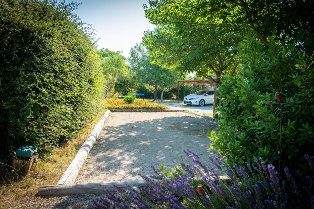 Jardin, piscine et extérieurs — photo 8