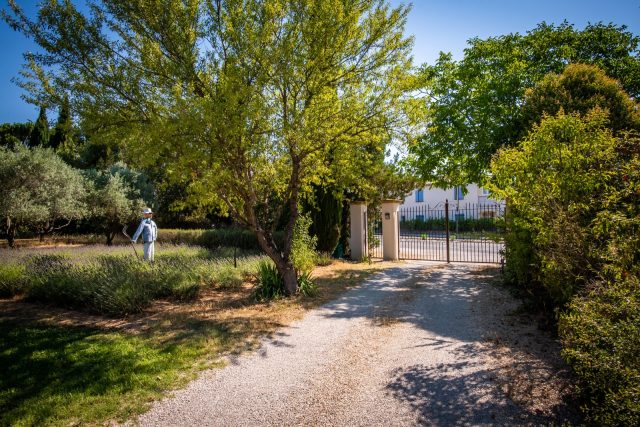 Jardin, piscine et extérieurs — photo 20