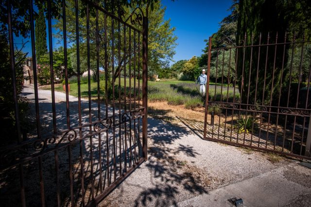 Jardin, piscine et extérieurs — photo 23