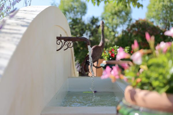 Jardin, piscine et extérieurs — photo 29