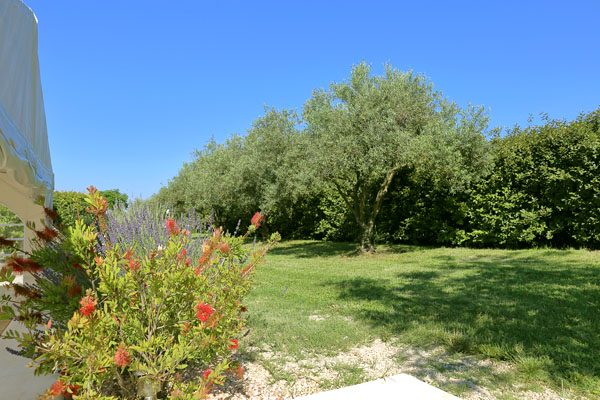 Jardin, piscine et extérieurs — photo 30