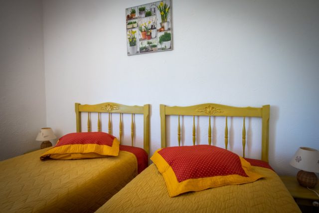Les Tournesols — photo 15