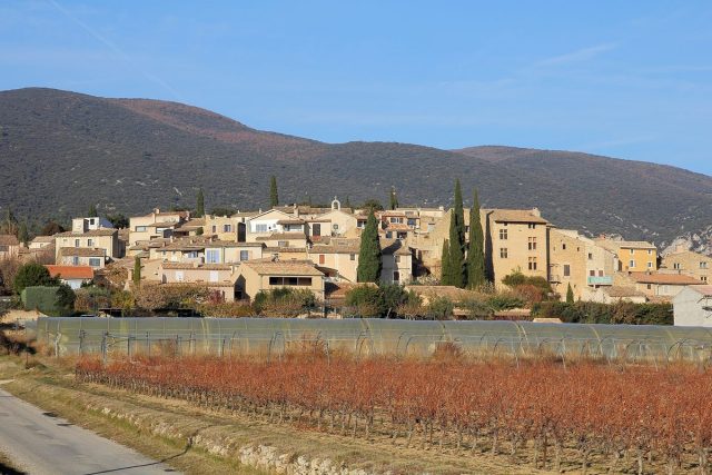 Vaugines
